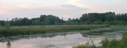 Niersarm  Bild: Arnold Schongen