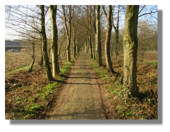 Schlufftrasse Bild Arnold Schongen