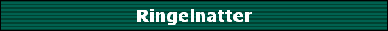Ringelnatter