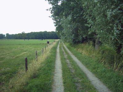 Feldweg