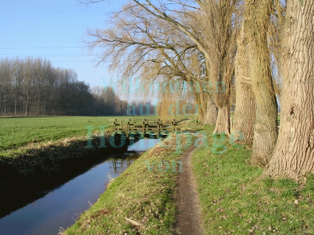 Radfahren am Niederrhein Bild: Arnold Schongen